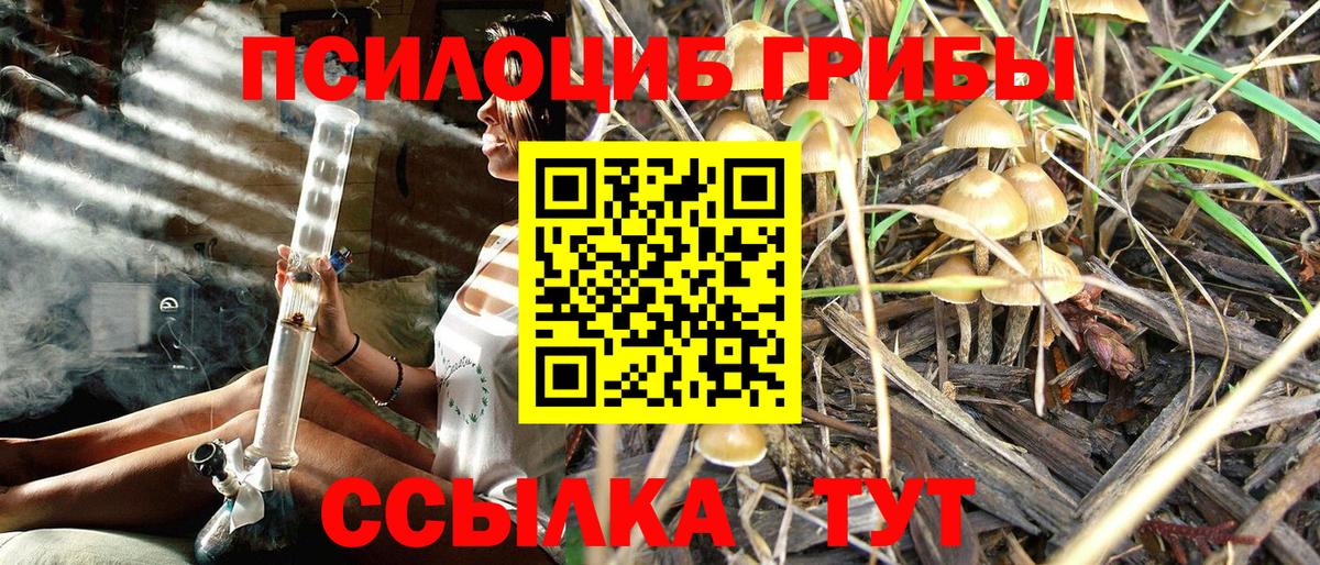цена   Галлюциногенные грибы MAGIC MUSHROOMS  Вход с VPN  Унеча 